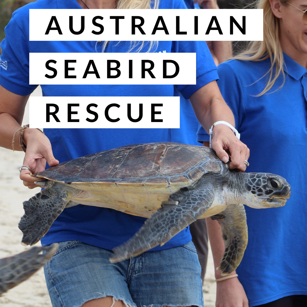 Australian Seabird Rescue Inc